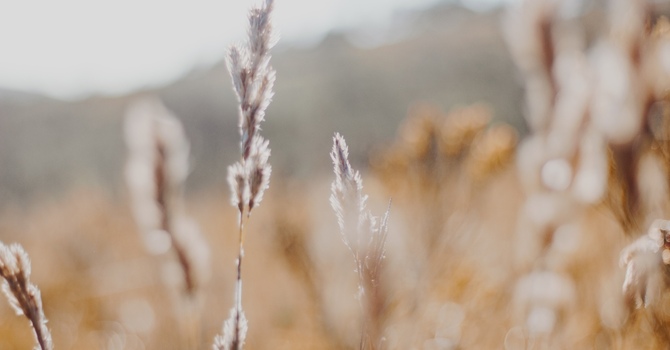 Sensory Overload and Rejection Sensitivity: How Trauma and Neurodiversity Shape Relationship Dynamics