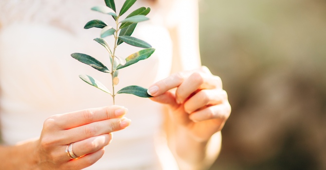 Finding Your Peace During Difficult Holiday Gatherings: A Compassionate Guide to Navigating Family Dynamics