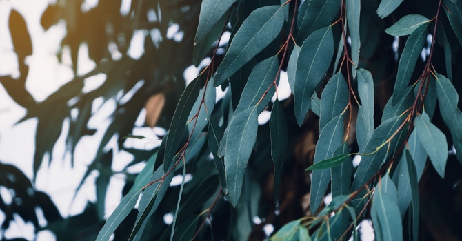 ADHD and Rumination: Why Your Brain Gets Stuck & How to Break the Cycle